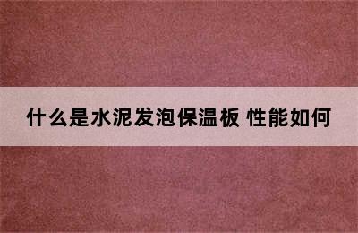 什么是水泥发泡保温板 性能如何